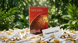 Milano Milano Shanghai (Милано Шанхай)