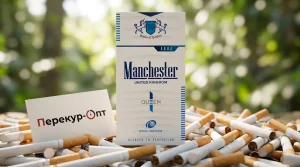 Manchester Queen Aqua (Манчестер Компакт Аква)