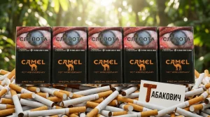 CAMEL SPECIAL EDITION CHOCOLATE · КЭМЛ СПЕШЛ ЭДИШН ШОКОЛАД — оптом со скидкой