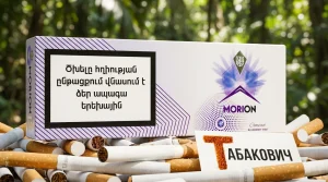 MORION COMPACT BLUEBERRY MINT · Морион компакт голубика мята — оптом со скидкой