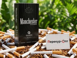 Манчестер Квин Блэк купить оптом