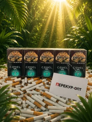 Кэмл Компакт Кул Краш купить оптом на распродаже